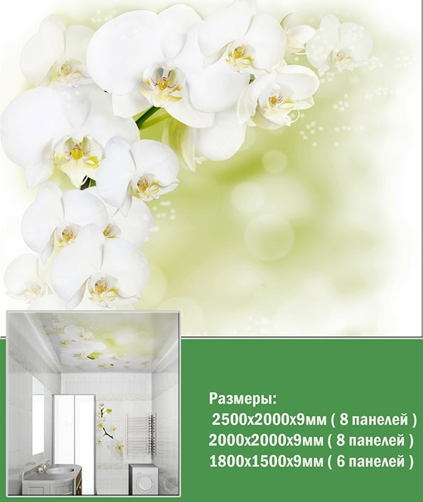 Панель потолочный ПВХ Орхидея белая 1,8*1,5 11183